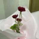 도매21호