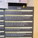 에스가요룸 네이버블로그