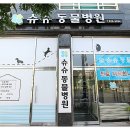 슈슈 동물병원 이미지