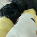 벌크커피신대점
