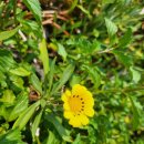 2024 퀸 엘리자베스 콩쿠르 수상자 콘서트 이미지