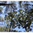 깊은산속 옹달샘 이미지