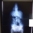 추사랑한의원 이미지