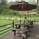 코코앤잭슨 이미지