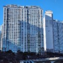 분당-141 이미지