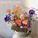 본보니에 - 중구 다산로18길 7 | 본보니에