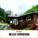통고산 자연휴양림 연립동 울진 여행 숙소 1박 후기