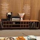 달단지스테이 이미지