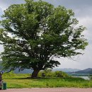화천여행