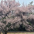 밀양향교 이미지