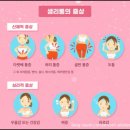 몽테스 | 경산 정평동 필라테스 에서 시작하는 생리 전후 회복 방법 :)