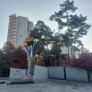 25-11/12-수 함바식당-아침밥 소하한내근린공원-산책 순대/튀김-저녁 이기영형님-운동화 이미지