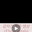 이지수 음악학원 이미지