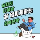 M코어빌딩 | 술자리 다음날 살 덜찌게 하는 회복 방법