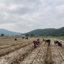 대가야읍사무소 이미지