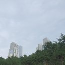 사임당로공원 이미지