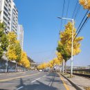 다전초 앞 도로 네이버블로그