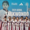 아리솔태권도장 이미지