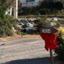 진도 무릉도원 | (현장취재)🌊 전남 진도의 숨겨진 무릉도원, [진도 휴식] – ✨🌿