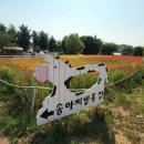 진로목장 이미지