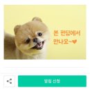 웨그앤코 이미지