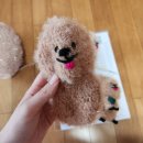 메리상점 | 왕초보자 쿼카 수세미 뜨기 DIY 후기 (내돈내산 메리제인뜨개상점)