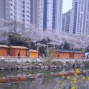 [세상에 이런 일이]UAE 출장 한국인, 이란과의 전쟁 한가운데서 천궁-II 조종, 이란 미사일 100%요격 성공, 이미지