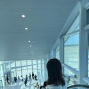 인천 상하이 푸동 대한항공 춘추항공 탑승후기 ✈️ 마이트립 예약 수화물규정