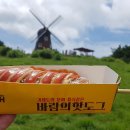 바람의핫도그