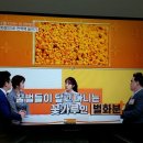 순창건강약국 이미지