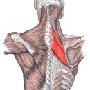 마름모한의원 이미지