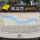곡교천길 이미지