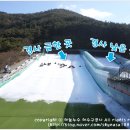 백아산관광목장백아산눈썰매장 네이버블로그
