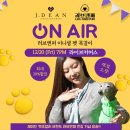 오후주얼리