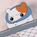 봄, 그루밍 이미지