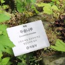 들풀한의원 이미지