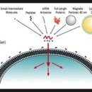 토털하이테크 이미지