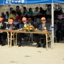 경화초등학교 이미지