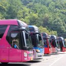 상촌면 물한계곡주차장 화장실 이미지