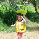 송제농원 이미지