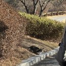 에덴블루CC클럽하우스 | 에덴블루CC 겨울 골프 라운딩 코스 공략 후기