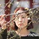 진안읍 1414 이미지