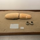 강릉원주대학교박물관 이미지