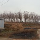 서경농장 이미지