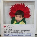 새하늘용인대태권도 이미지