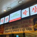 대구 두류 실패 없는 생막창 맛집 착한 막창 내돈내산 후기