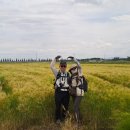 성덕우체국 이미지