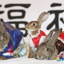 직지초교 이미지