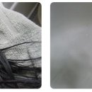 moon hair