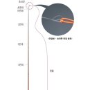 붕어낚시 채비 이미지